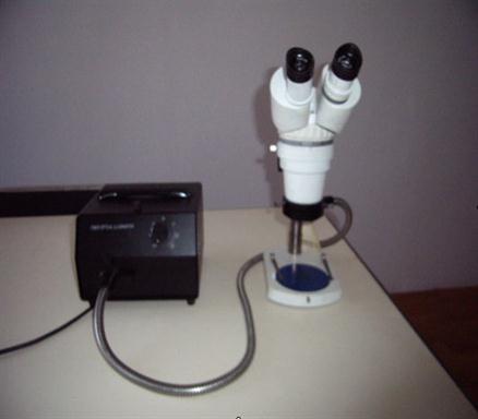 三辉液压制品（大连）有限公司-显微镜